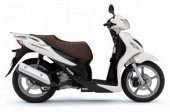 2010 Suzuki Sixteen 150 photo